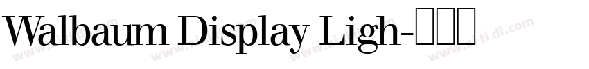 Walbaum Display Ligh字体转换